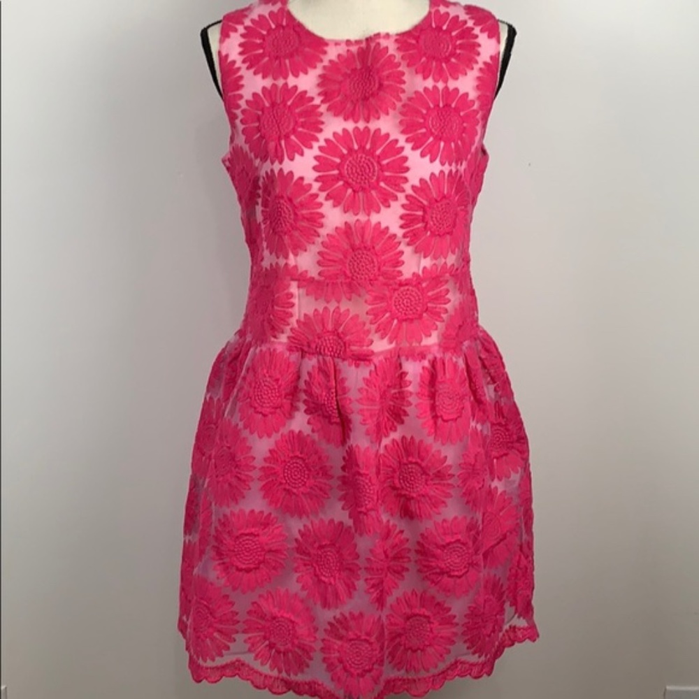 NWT Gracia Fit and Flare Dress Size M